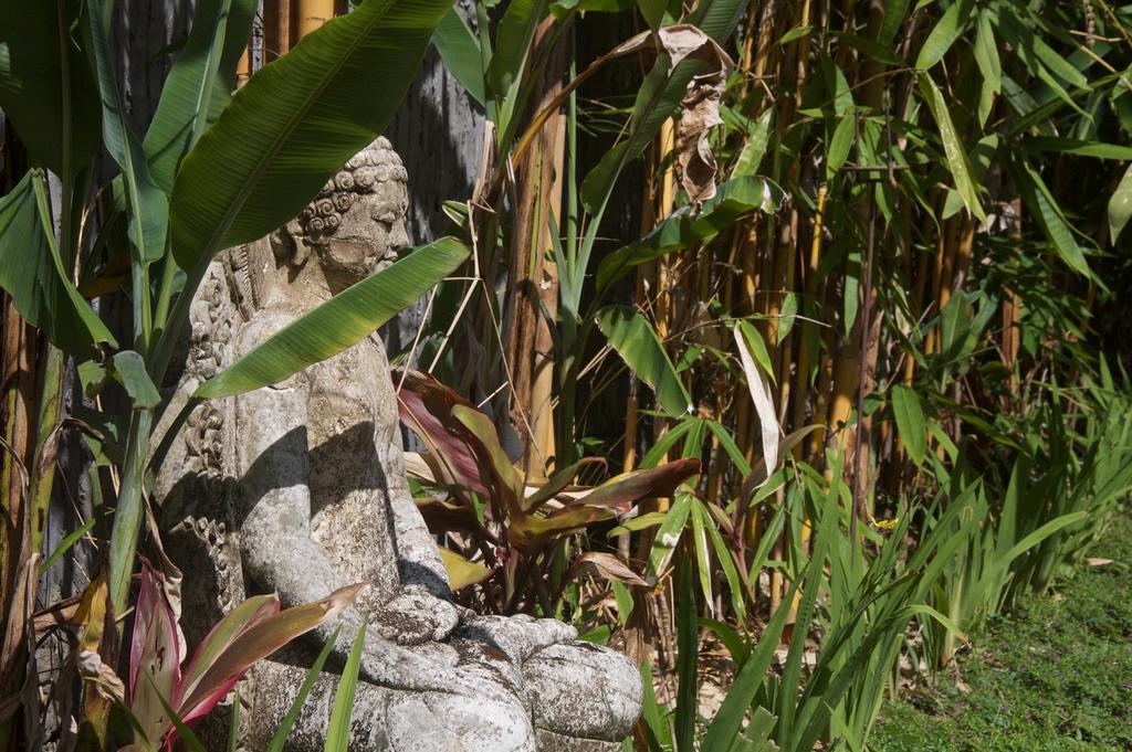 אובוד Taman Rahasia Tropical Sanctuary And Spa מראה חיצוני תמונה